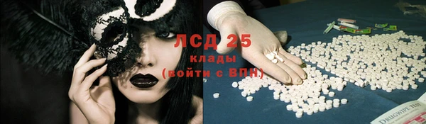 стафф Арсеньев
