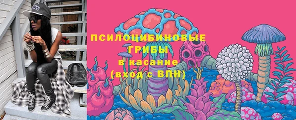 винт Армянск