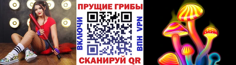 ОМГ ОМГ сайт  Дмитров  Галлюциногенные грибы Magic Shrooms  наркота 