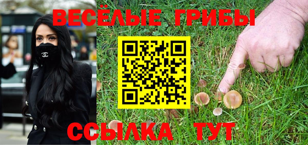 Галлюциногенные грибы Cubensis Дмитров