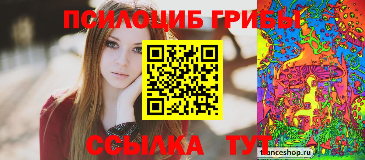 Галлюциногенные грибы Psilocybe  Вход с VPN  Дмитров 