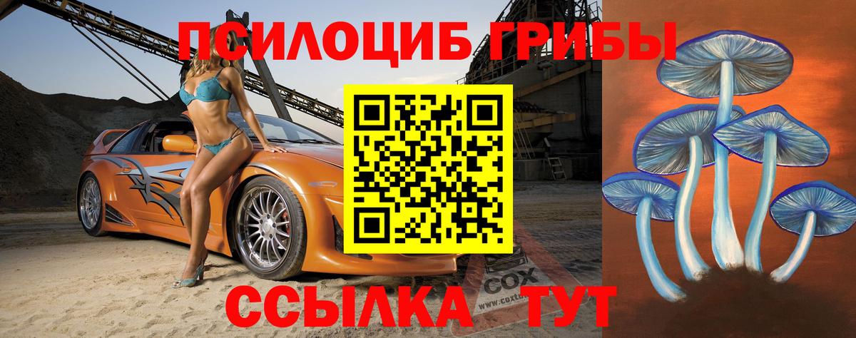 Дмитров  Псилоцибиновые грибы прущие грибы  Вход с VPN  наркота  Псилоцибиновые грибы Psilocybine cubensis 